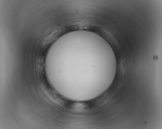 X0000111220218200907161300
