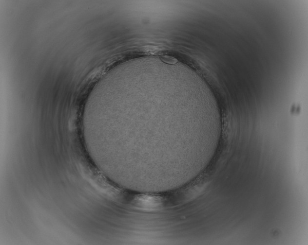 X0000111220221200907161300