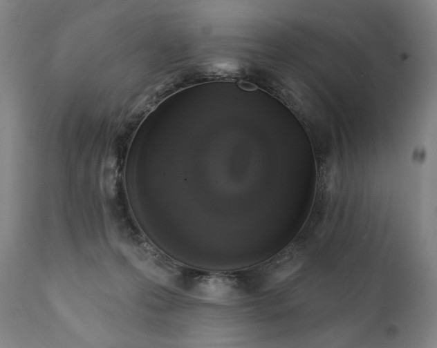 X0000111220223200907161300