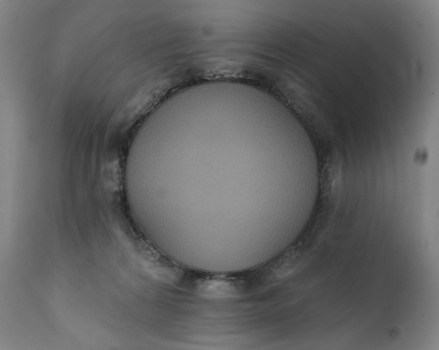 X0000111220224200907161300