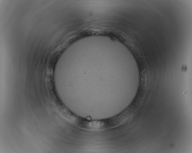 X0000111220225200907161300