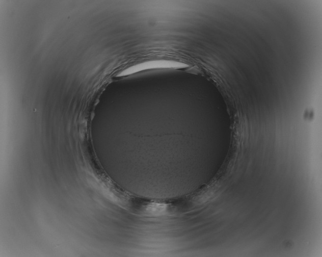 X0000111220227200907161300