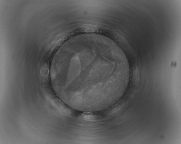 X0000111220228200907161300