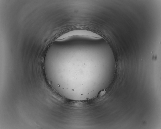 X0000111220229200907161300