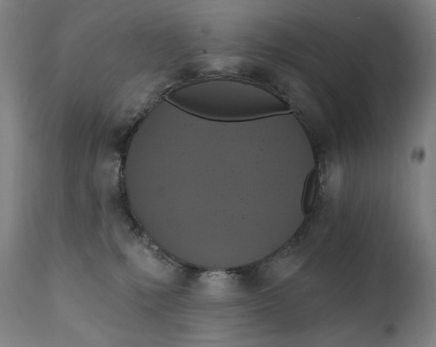 X0000111220231200907161300