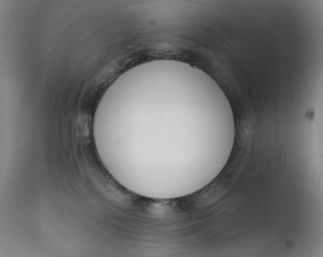 X0000111220232200907161300