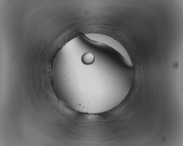 X0000111220233200907161300