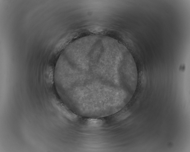 X0000111220234200907161300