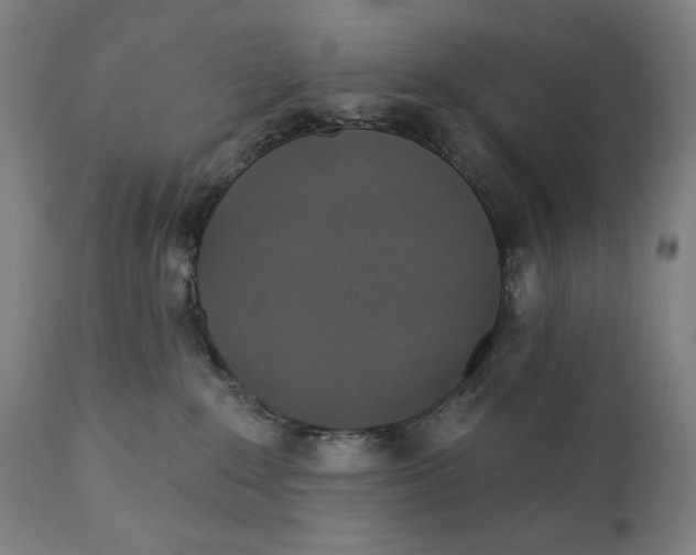 X0000111220235200907161300