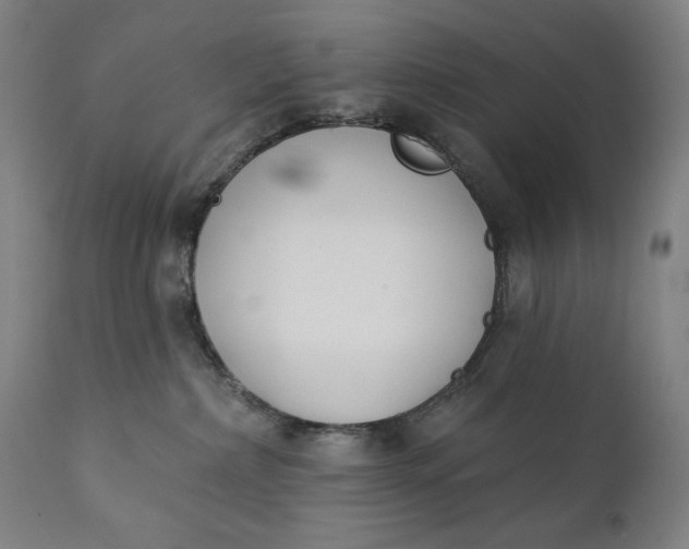 X0000111220236200907161300