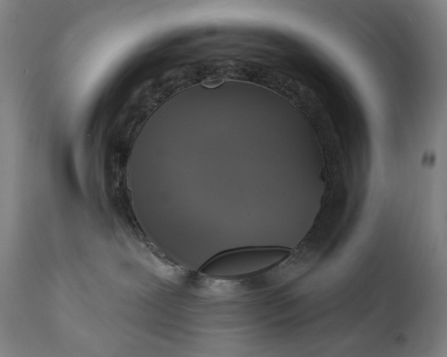 X0000111220239200907161300