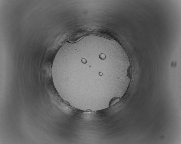 X0000111220240200907161300