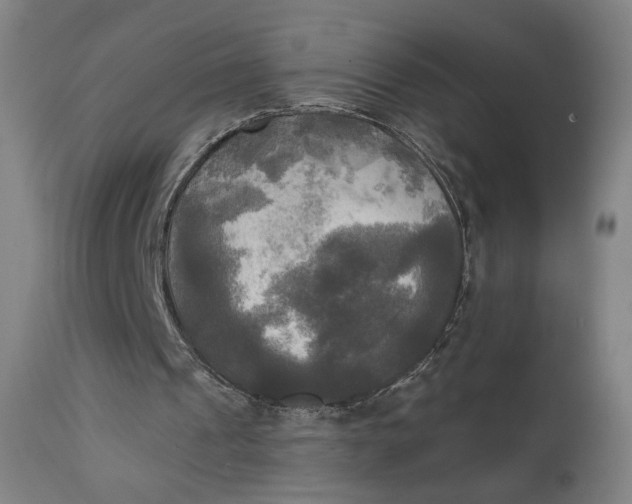 X0000111220241200907161259