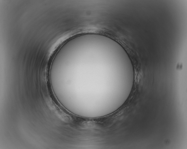 X0000111220244200907161259