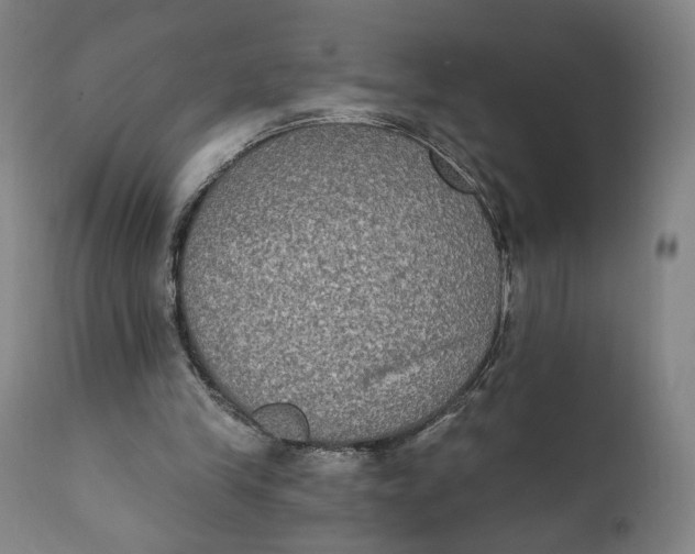 X0000111220245200907161259
