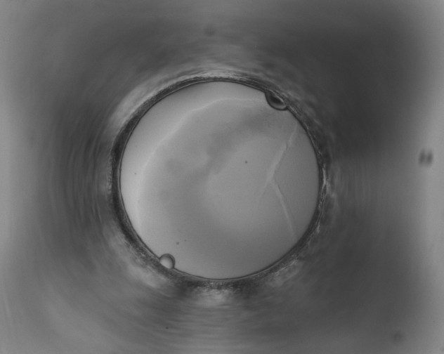 X0000111220247200907161259