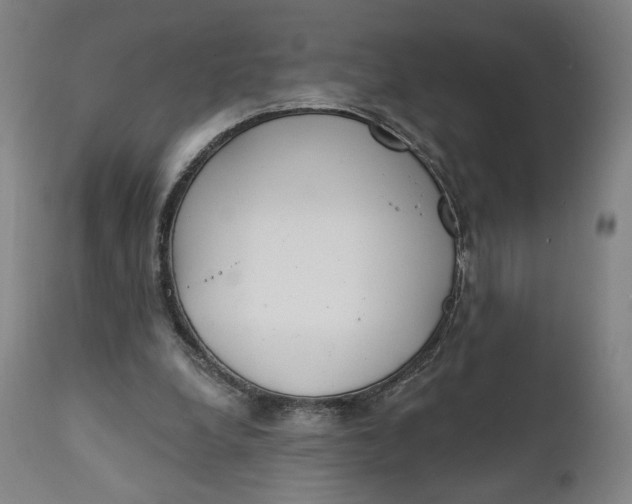 X0000111220248200907161259