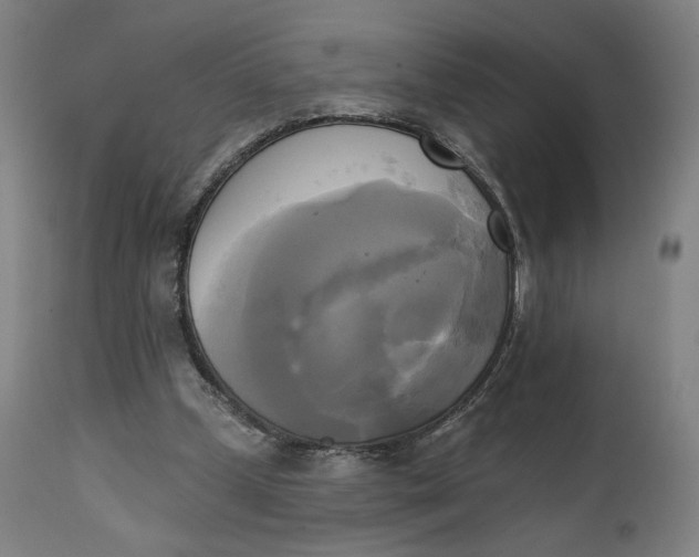 X0000111220249200907161259