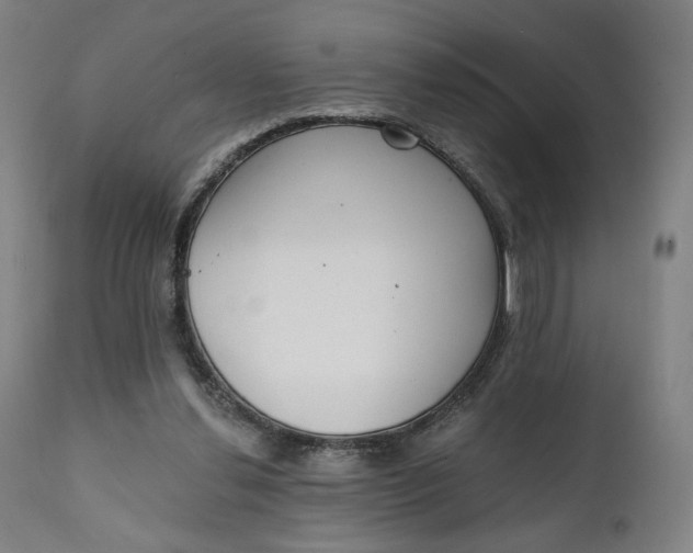 X0000111220252200907161259