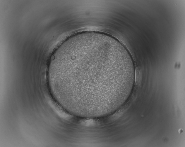 X0000111220253200907161259