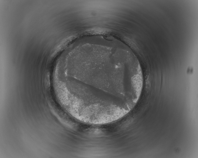 X0000111220254200907161300