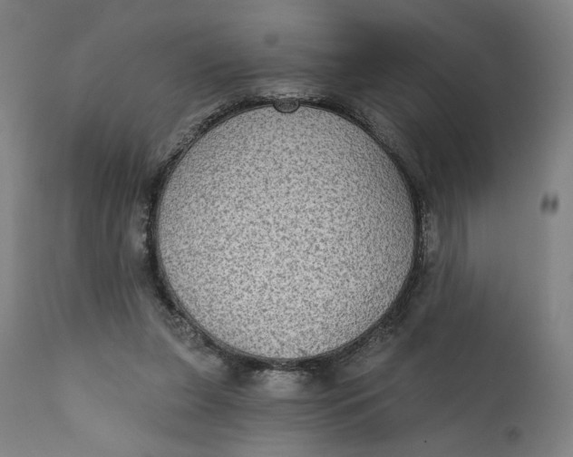 X0000111220255200907161300