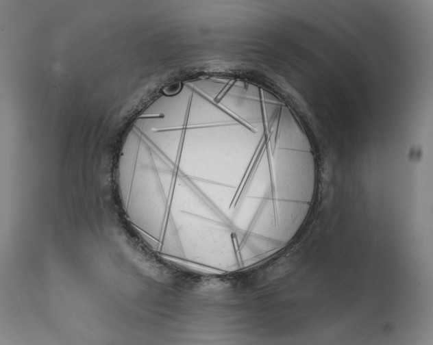 X0000111220257200907161300