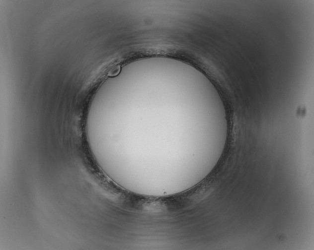 X0000111220258200907161300