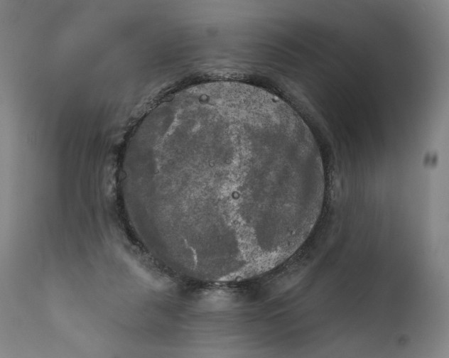 X0000111220259200907161300