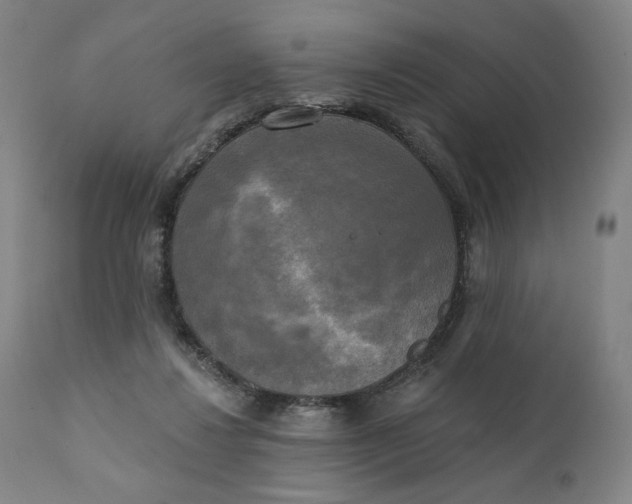 X0000111220260200907161300