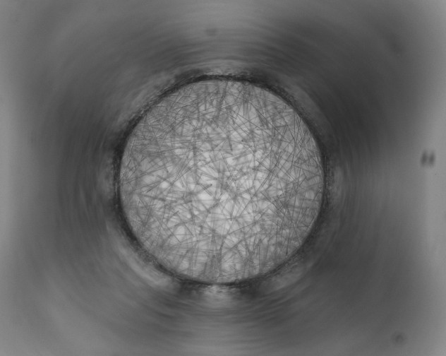 X0000111220261200907161300