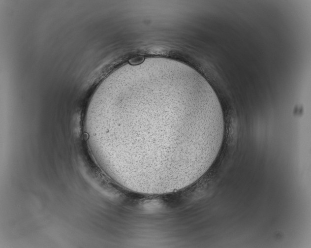 X0000111220262200907161300