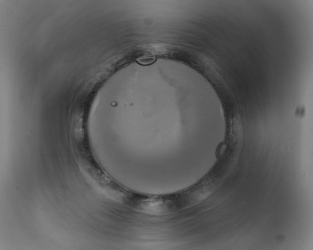 X0000111220267200907161300