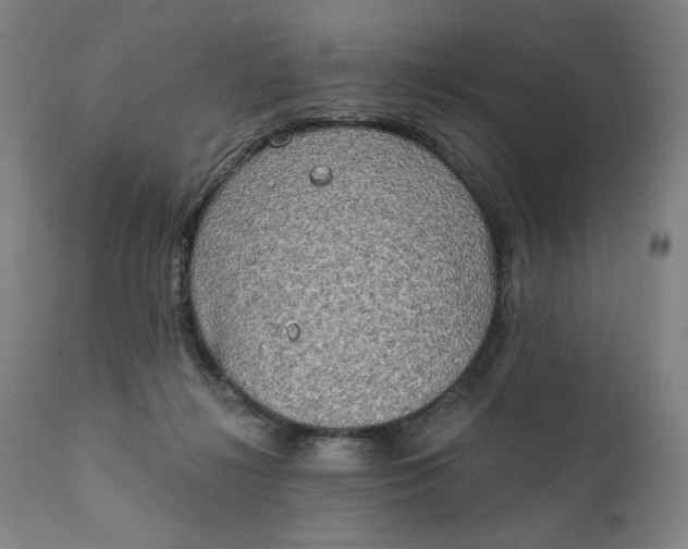 X0000111220268200907161300