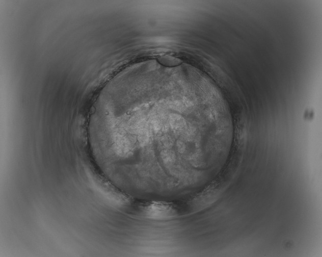 X0000111220270200907161300