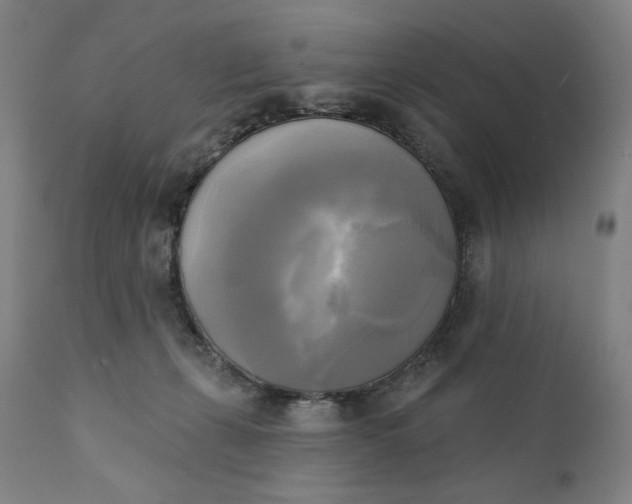 X0000111220271200907161300