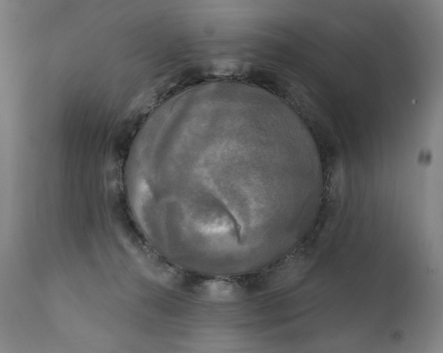 X0000111220272200907161300