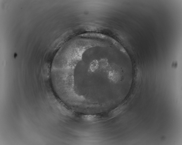 X0000111220273200907161300