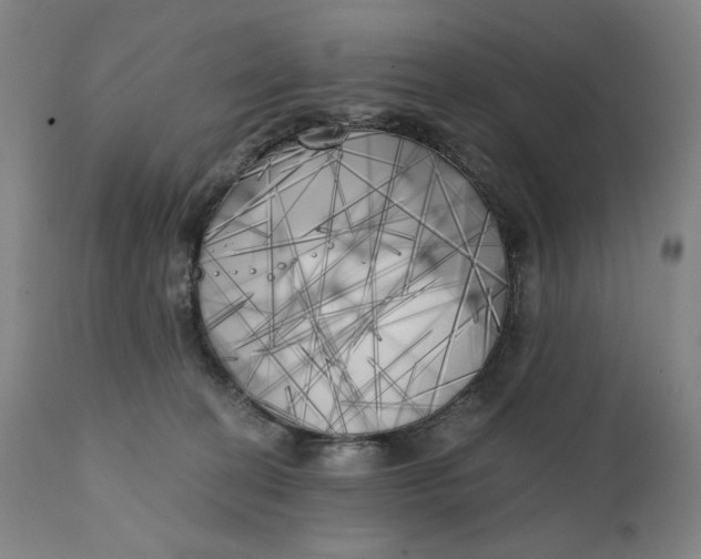 X0000111220274200907161300