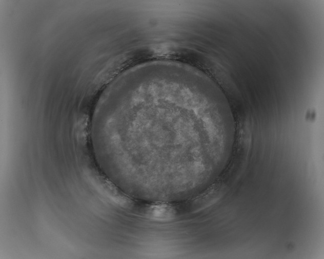 X0000111220275200907161300