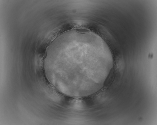 X0000111220276200907161300