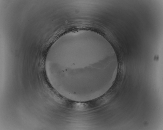 X0000111220277200907161300