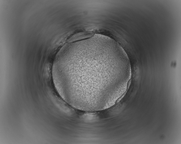 X0000111220280200907161300