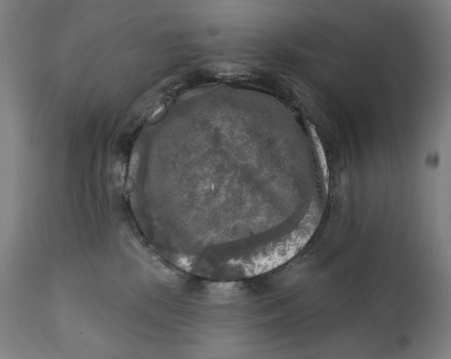 X0000111220281200907161300