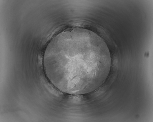 X0000111220282200907161300