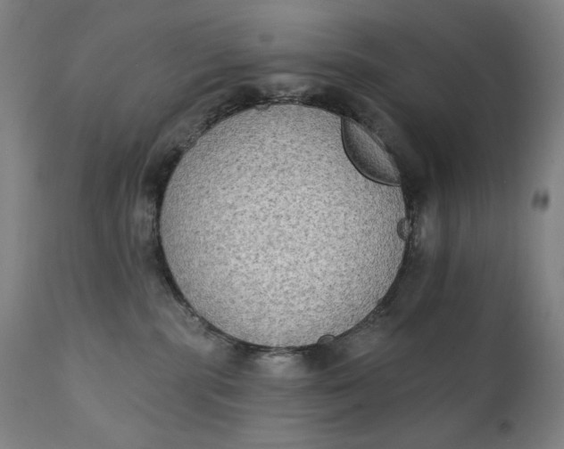 X0000111220283200907161300