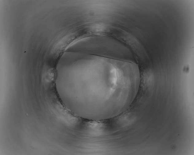 X0000111220284200907161300