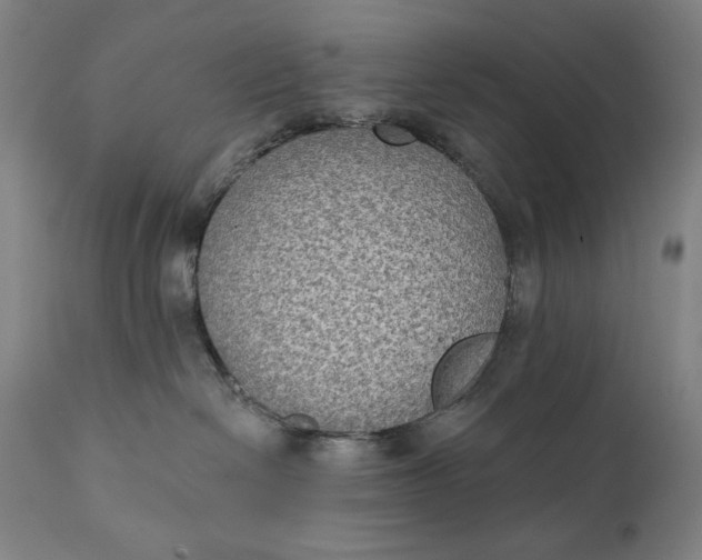X0000111220286200907161300