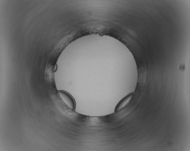 X0000111220287200907161300