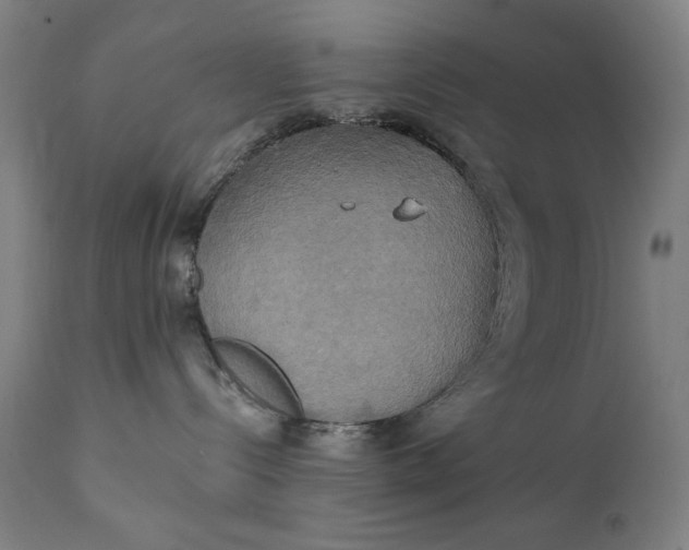 X0000111220288200907161300